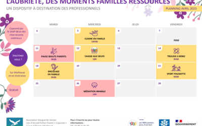 Flyer e-RCP santé mentale
