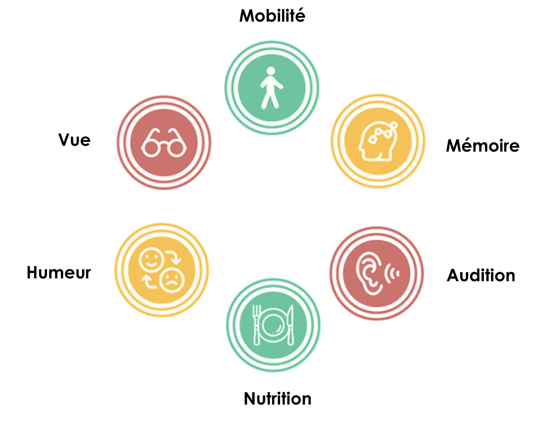 vue mobilité mémoire audition nutrition humeur