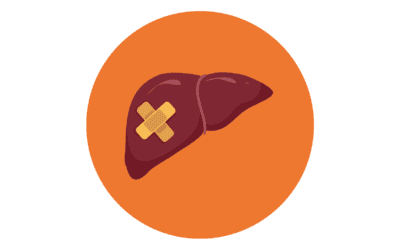 V9 – Organiser un temps d’information sur le thème de la fibrose hépatique