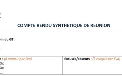 Modèle de compte-rendu synthétique